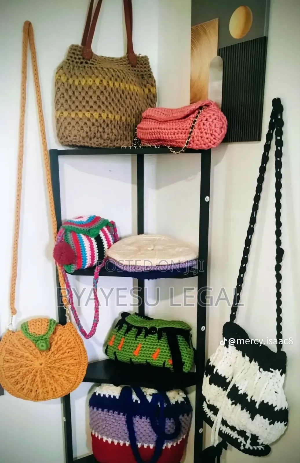 Unique Lady's Handbag Made From Craft and Crotchet