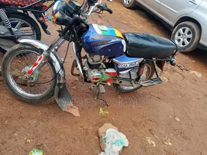 Bajaj Boxer 100 2009 Blue