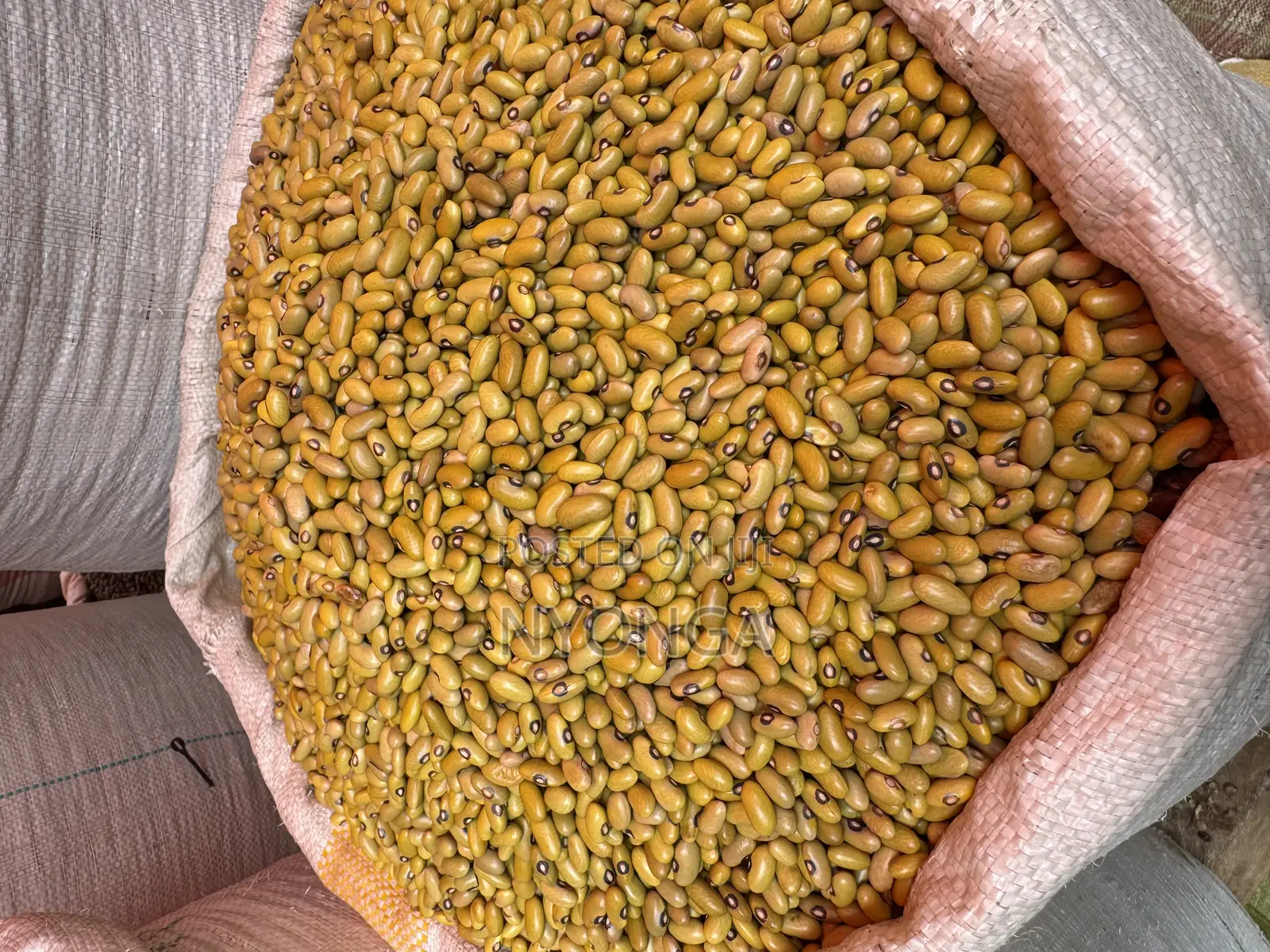 Tz Super Rice Kawoowo