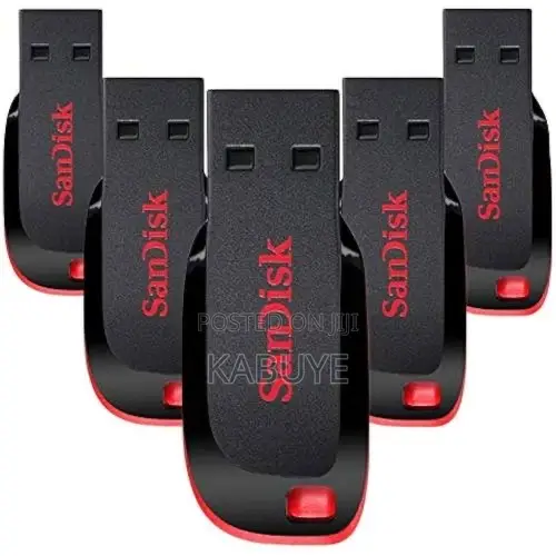 Sandisk Cruzer Blade Usb 2.0 Flash Drives