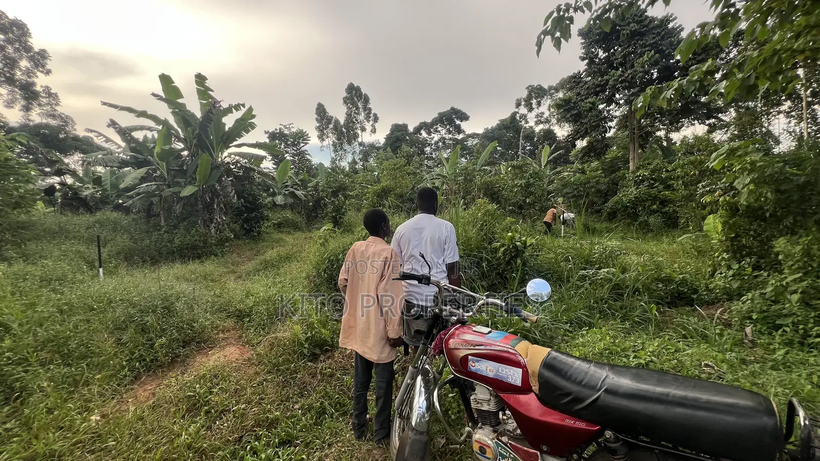 50x100 Feet Plot Available in Bukerere