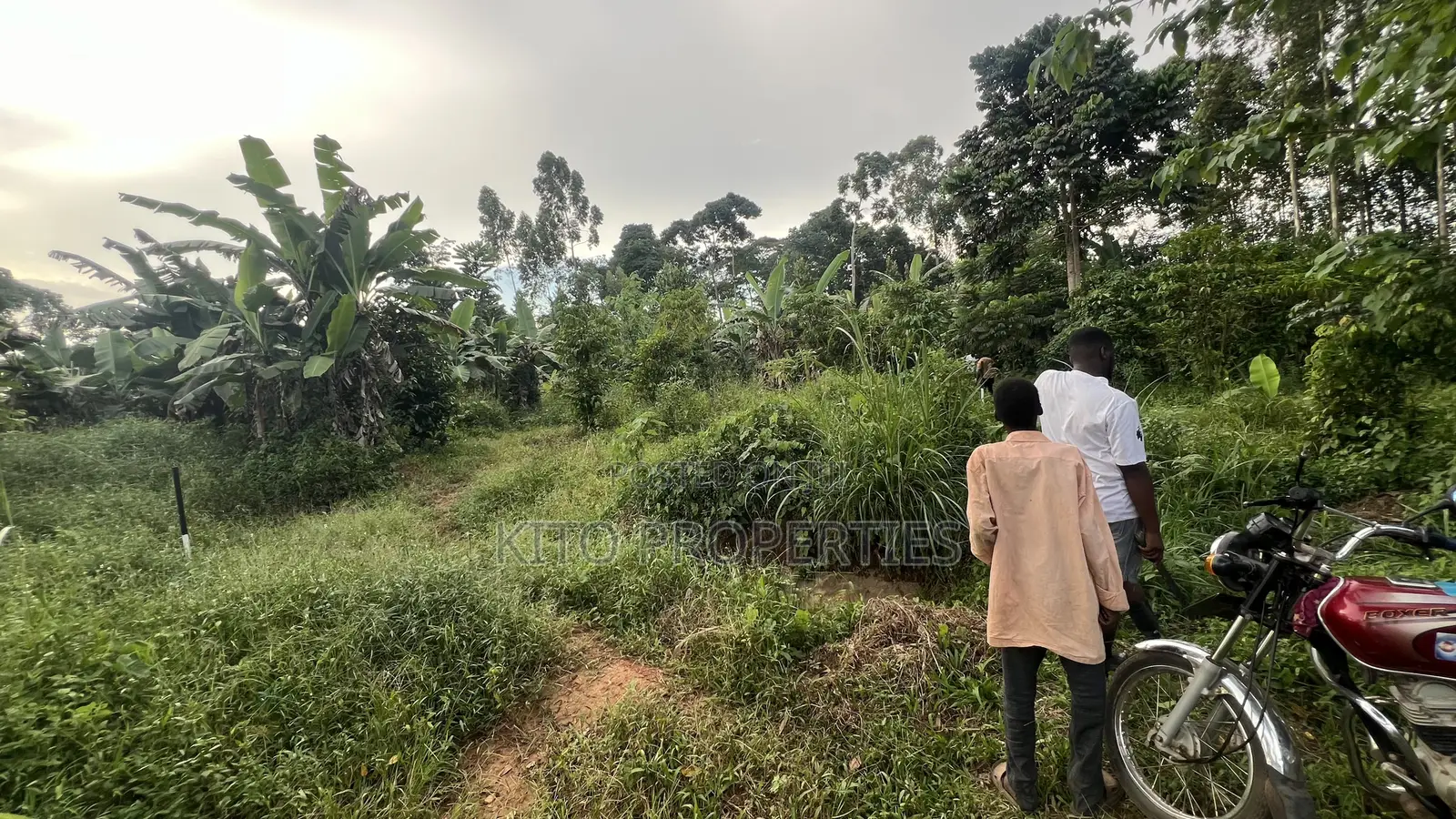 50x100 Feet Plot Available in Bukerere