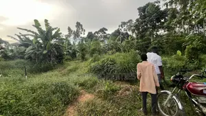 50x100 Feet Plot Available in Bukerere