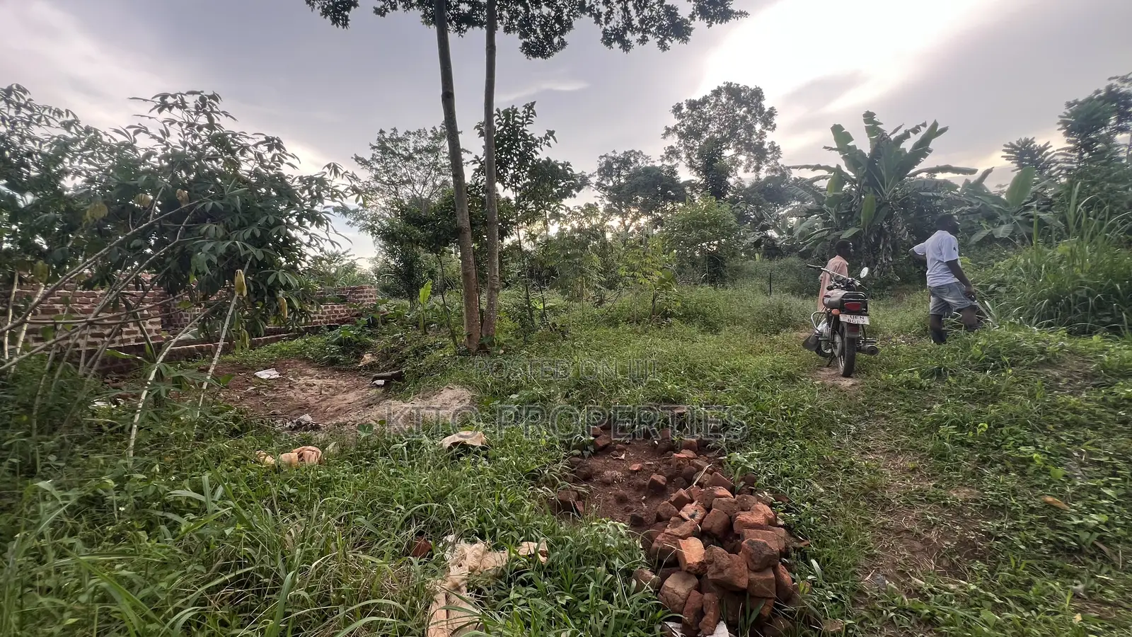 50x100 Feet Plot Available in Bukerere