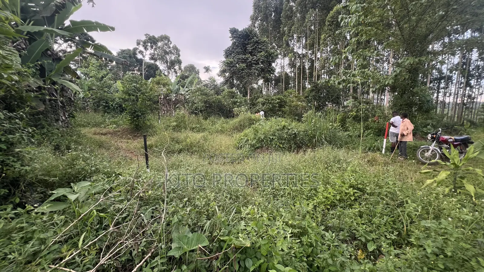 50x100 Feet Plot Available in Bukerere