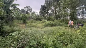 50x100 Feet Plot Available in Bukerere