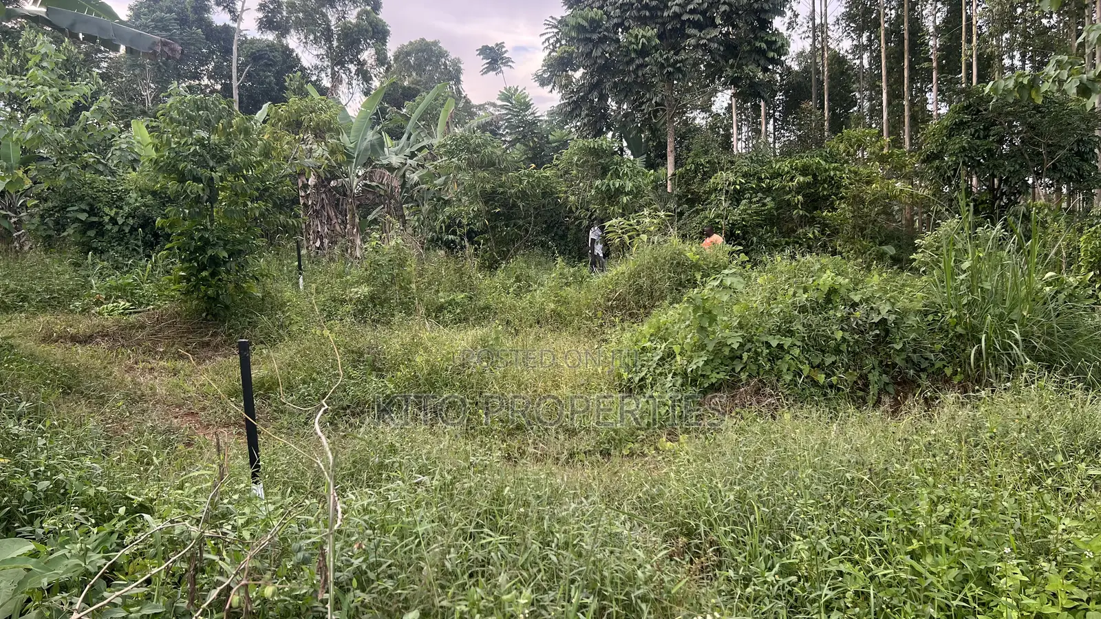 50x100 Feet Plot Available in Bukerere