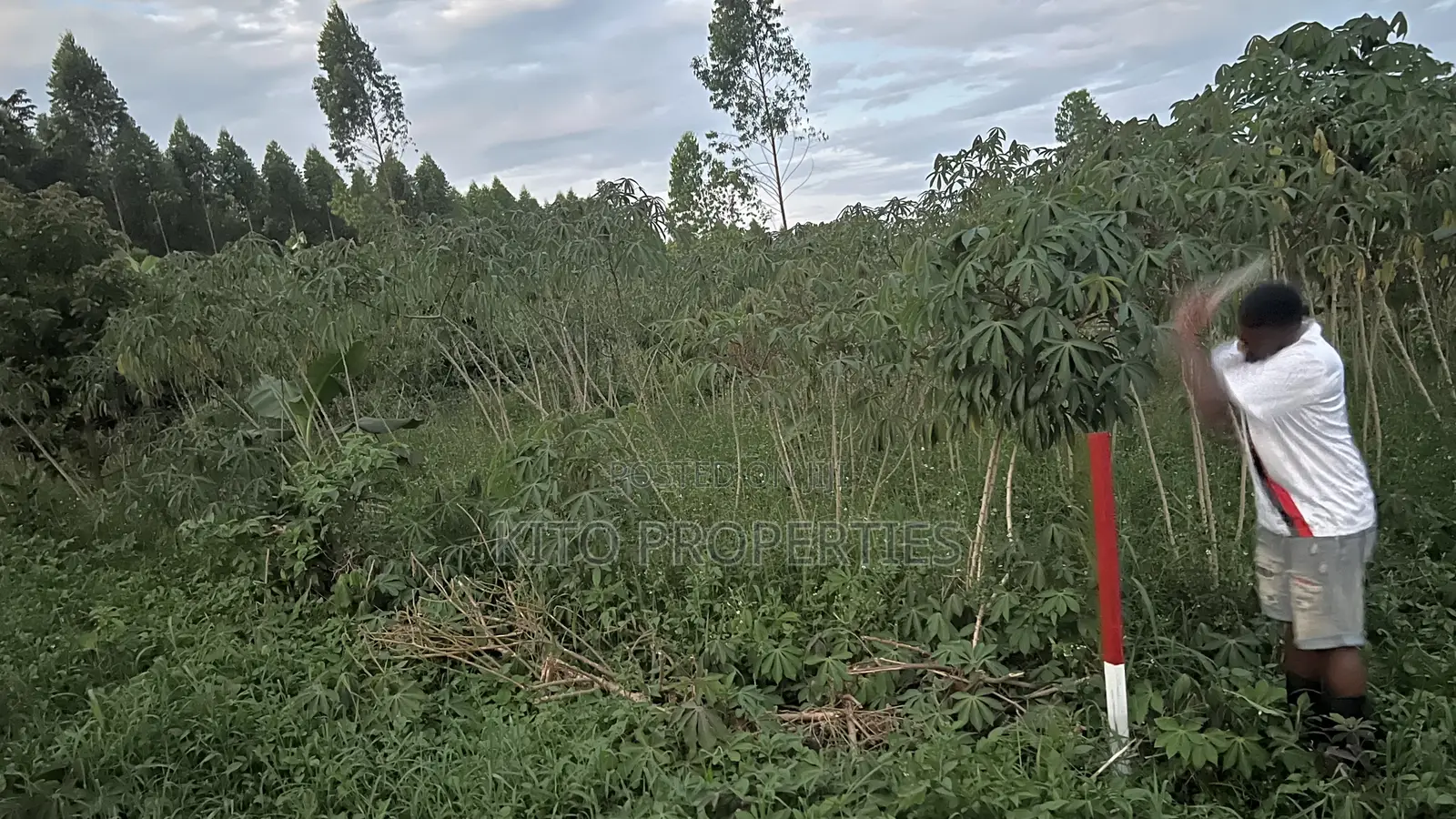 25x54feet Plot Available in Bukerere