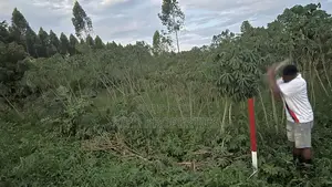 25x54feet Plot Available in Bukerere