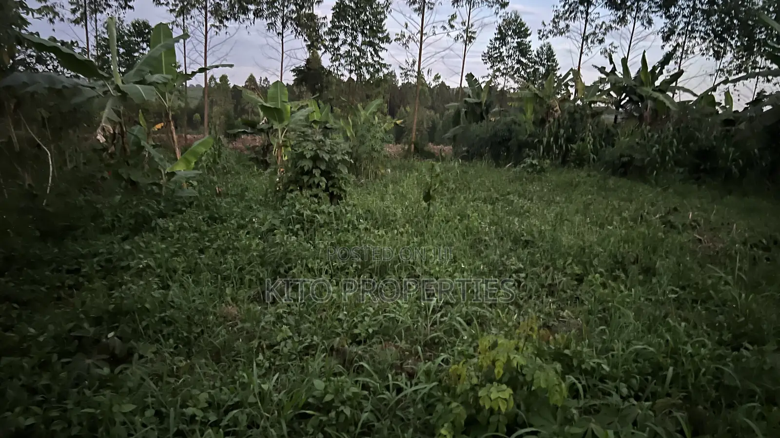 25x54feet Plot Available in Bukerere