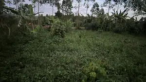25x54feet Plot Available in Bukerere
