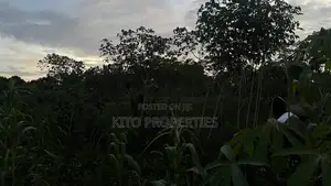 25x54feet Plot Available in Bukerere