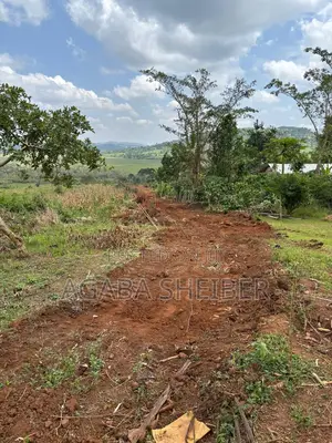 Plots for Sale