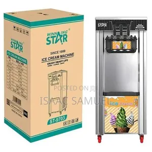 Winningstar Commercial Ice Cream Maker Machine (Big) - Silver