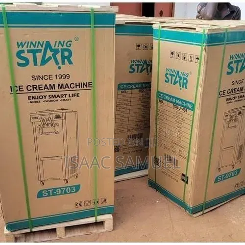 Winningstar Commercial Ice Cream Maker Machine (Big) - Silver