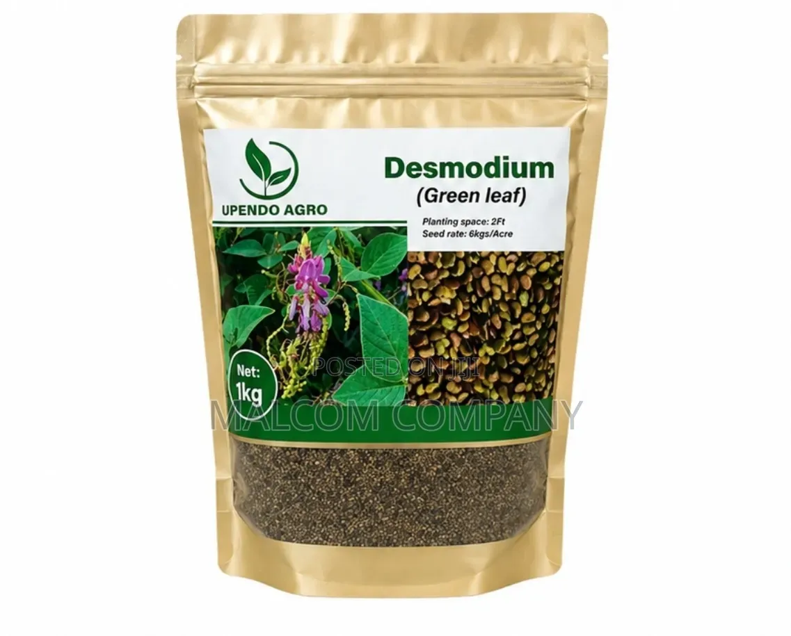 Green Leaf Desmodium Pasture Seeds 1kg