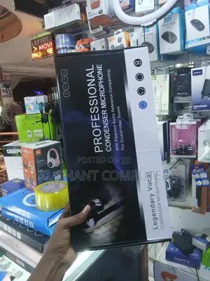Bm-800 Professional Condenser Microphone/Condenser Microphone