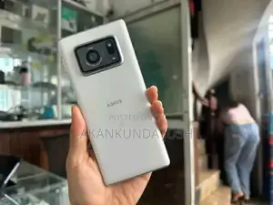 Sharp Aquos R6 128 GB Silver