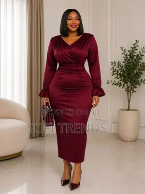 Ladies Silk Dresses