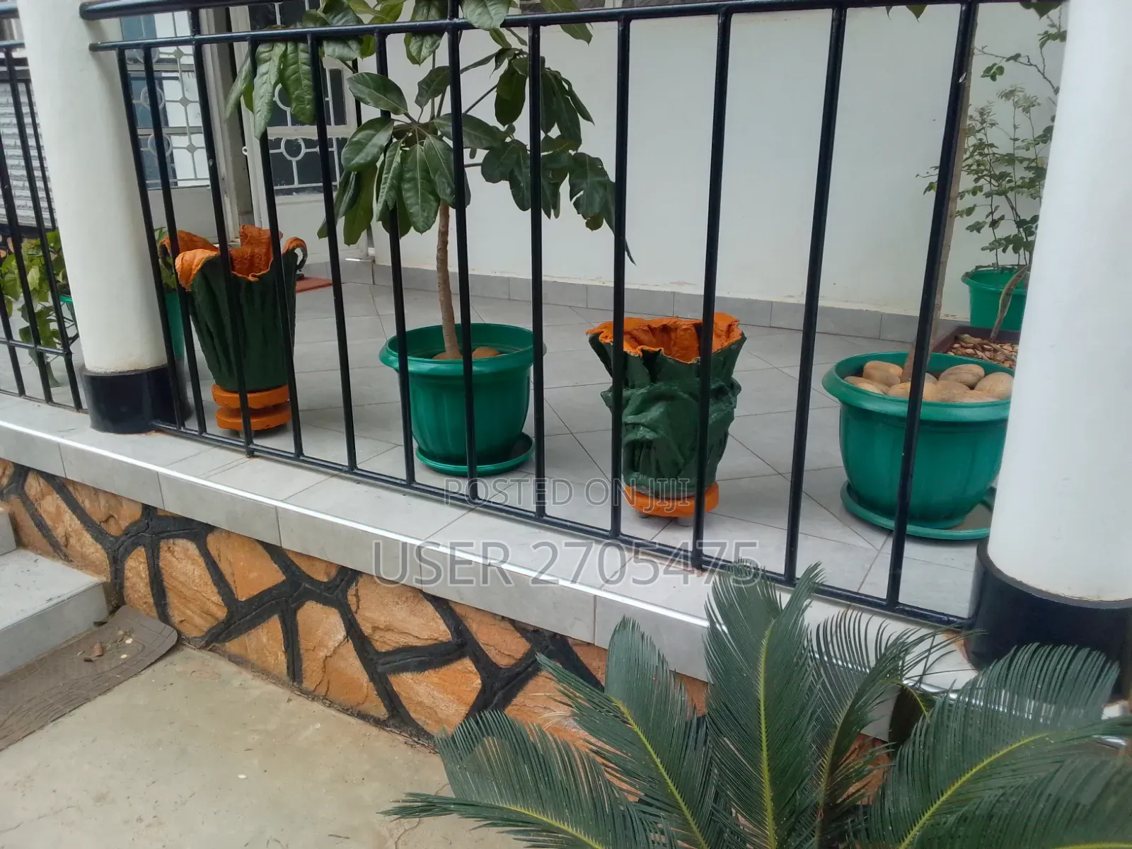 Salmon's Events And Backyard Ideas