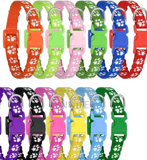12 Pack Cat Collars