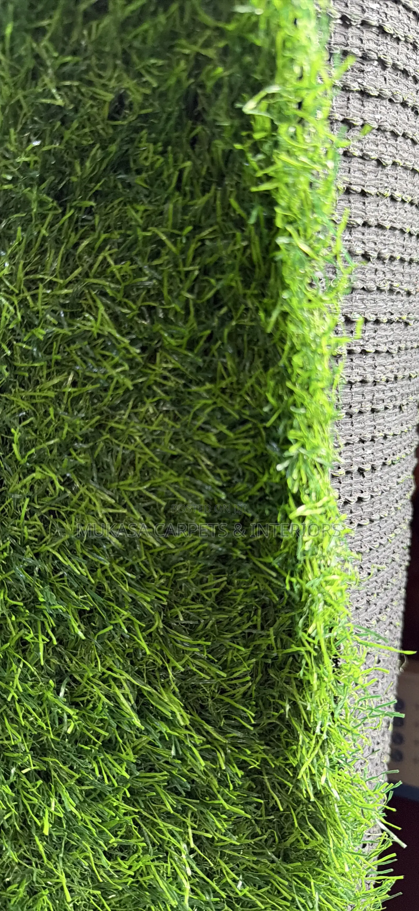 Modern Decorative Grass Carpet