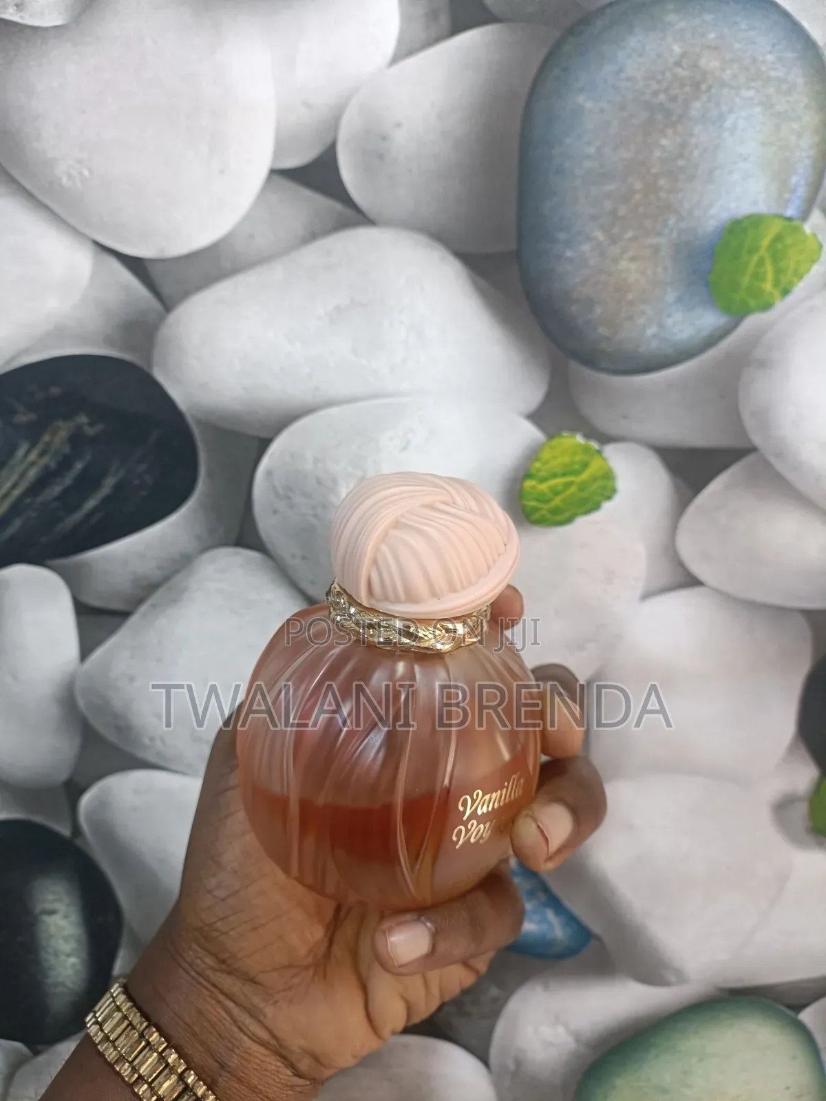 Vanilla Voyage 10mls Decant