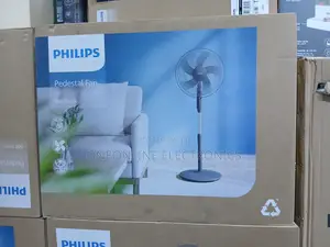 Phillips Stand Fan