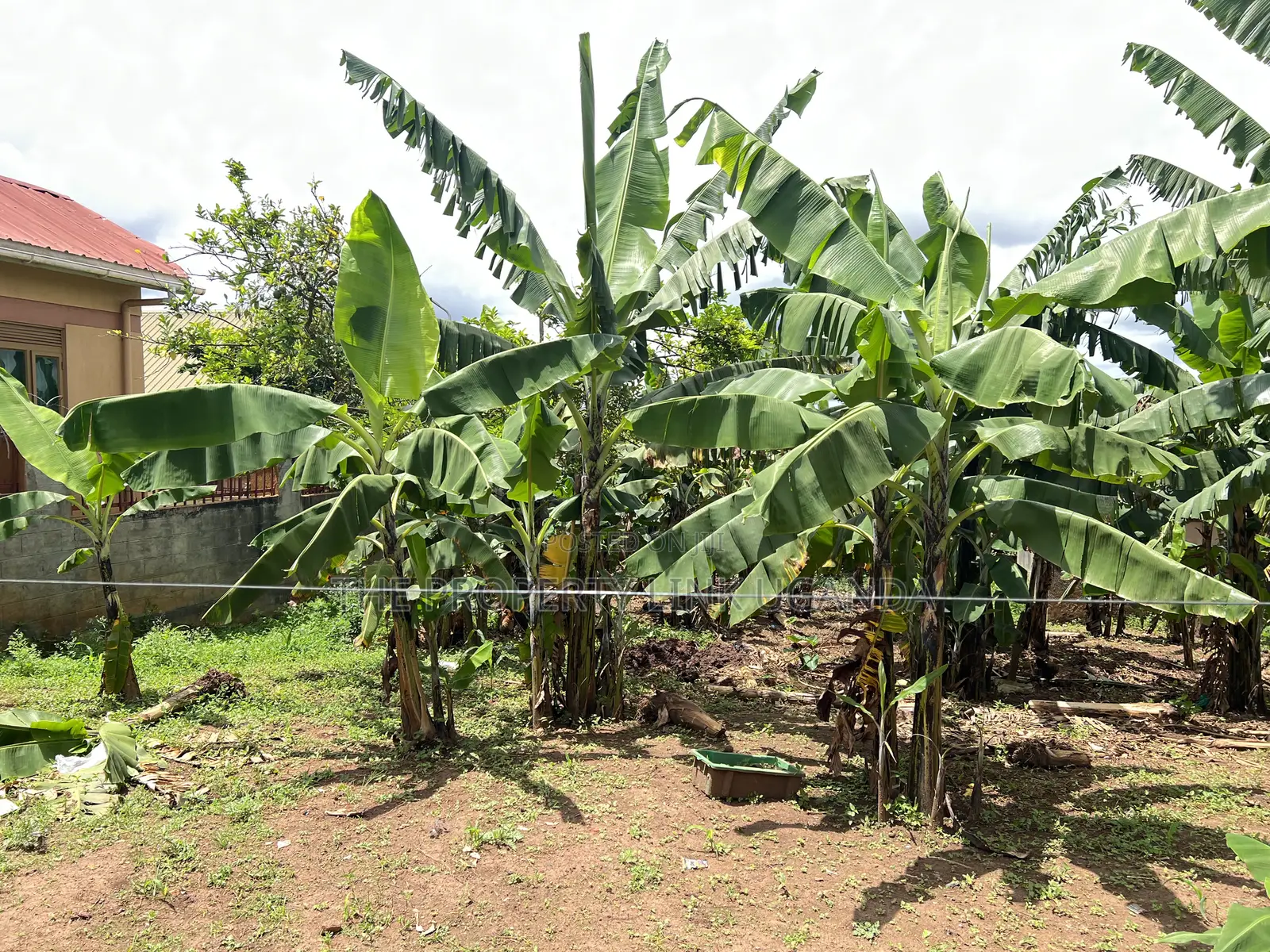 4bdrm House in Namanve House for sale