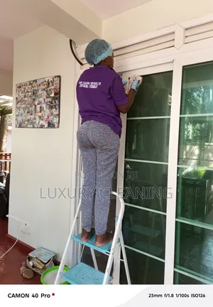 Windows and Doors Deep Cleaning