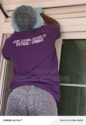 Windows and Doors Deep Cleaning