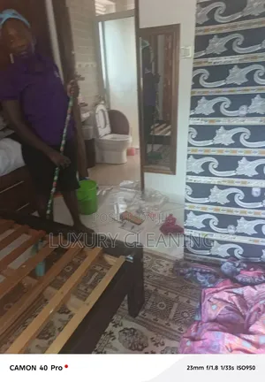 Professional House Cleaning and Organization