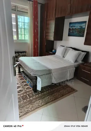 Professional House Cleaning and Organization