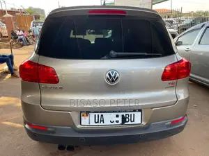 Volkswagen Tiguan 2014 Gold