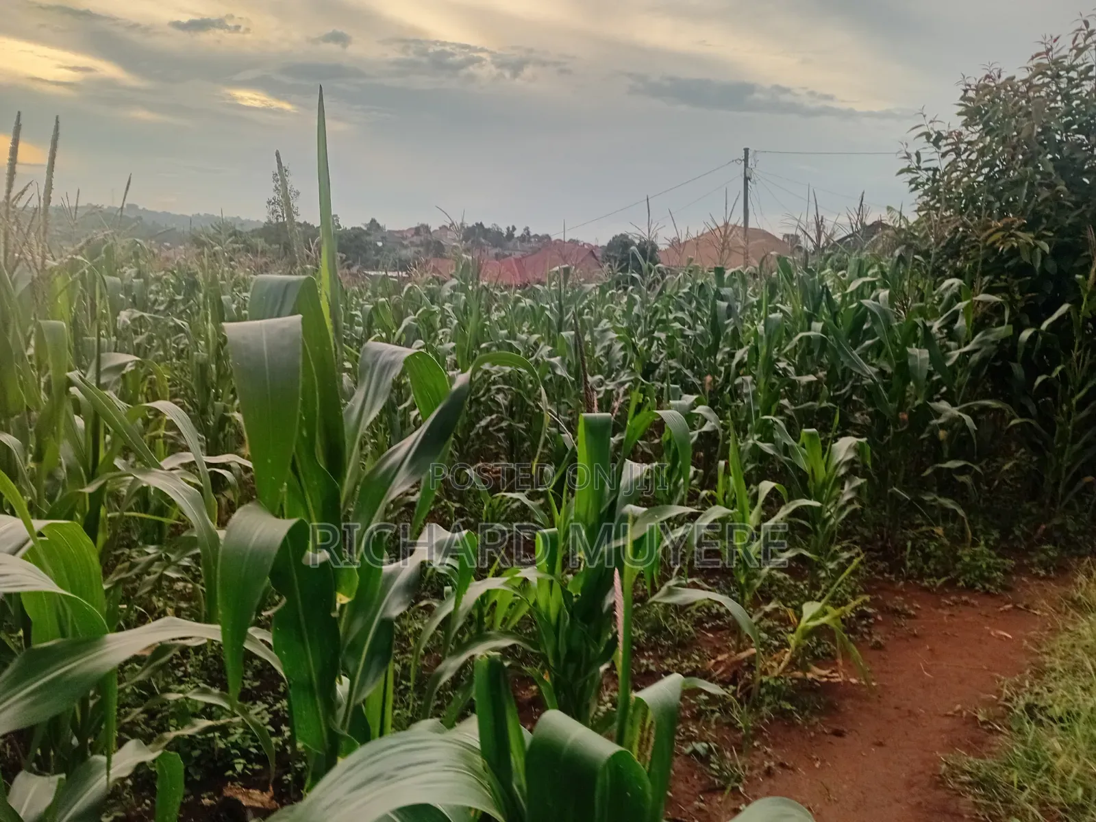 Plot for Sale at 10m Ugx in Matugga