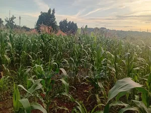 Plot for Sale at 10m Ugx in Matugga