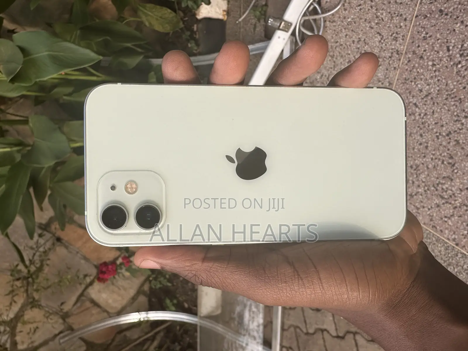 Apple iPhone 12 128 GB White