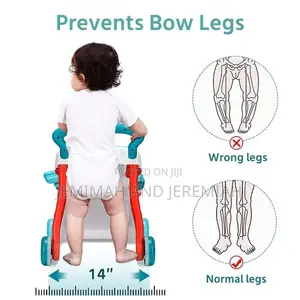 2 in 1 Baby Walker Sit to Stand Up Push Walker