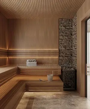 Morden Sauna Disgn