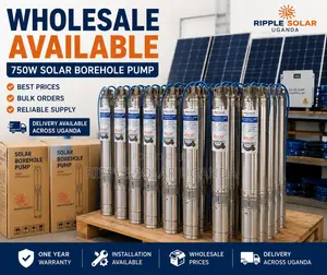750w Solar Borehole Pump 69m Head 96v Dc Stainless Steel Water Pump