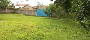 Land on Quick Sale Entebbe Lunyo All in Fence and Gate and House
