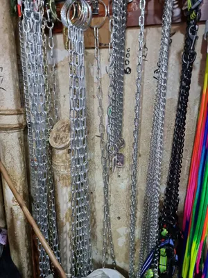 Dog chains