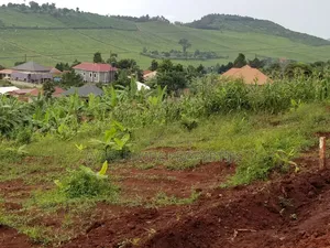 Agreement Land for Sale Kajjansi Nakigalara