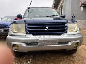 Mitsubishi Pajero 2008 Blue