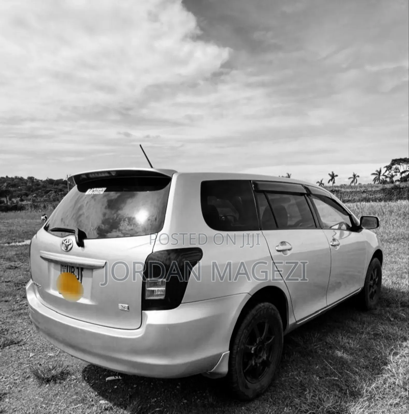Toyota Corolla Fielder 1.5 Petrol FWD 2007 Silver