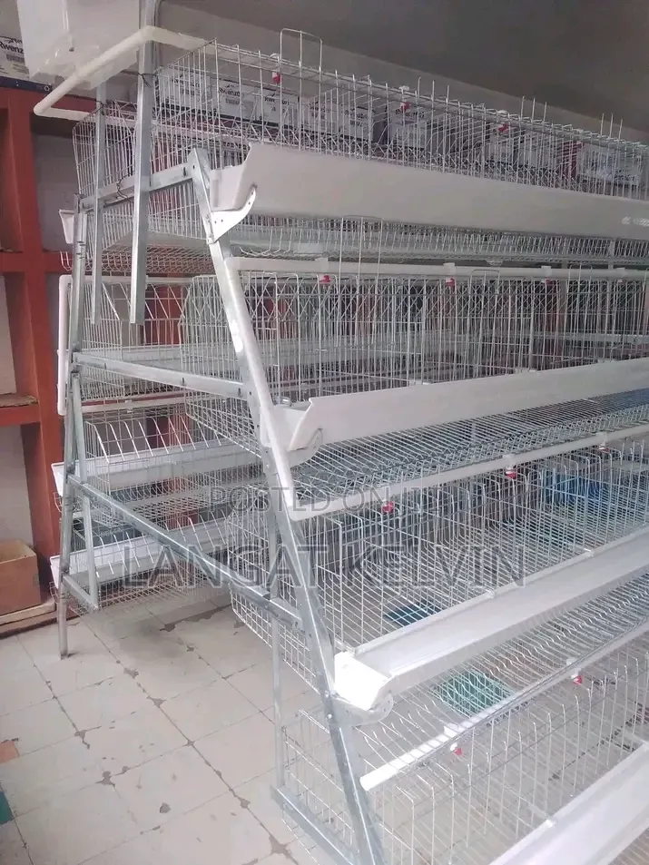 160 Birds Poultry Cage – Strong, Spacious Durable