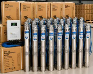 750w Solar Borehole Pump 29m Head High Flow 96v Deep Well Water Pump