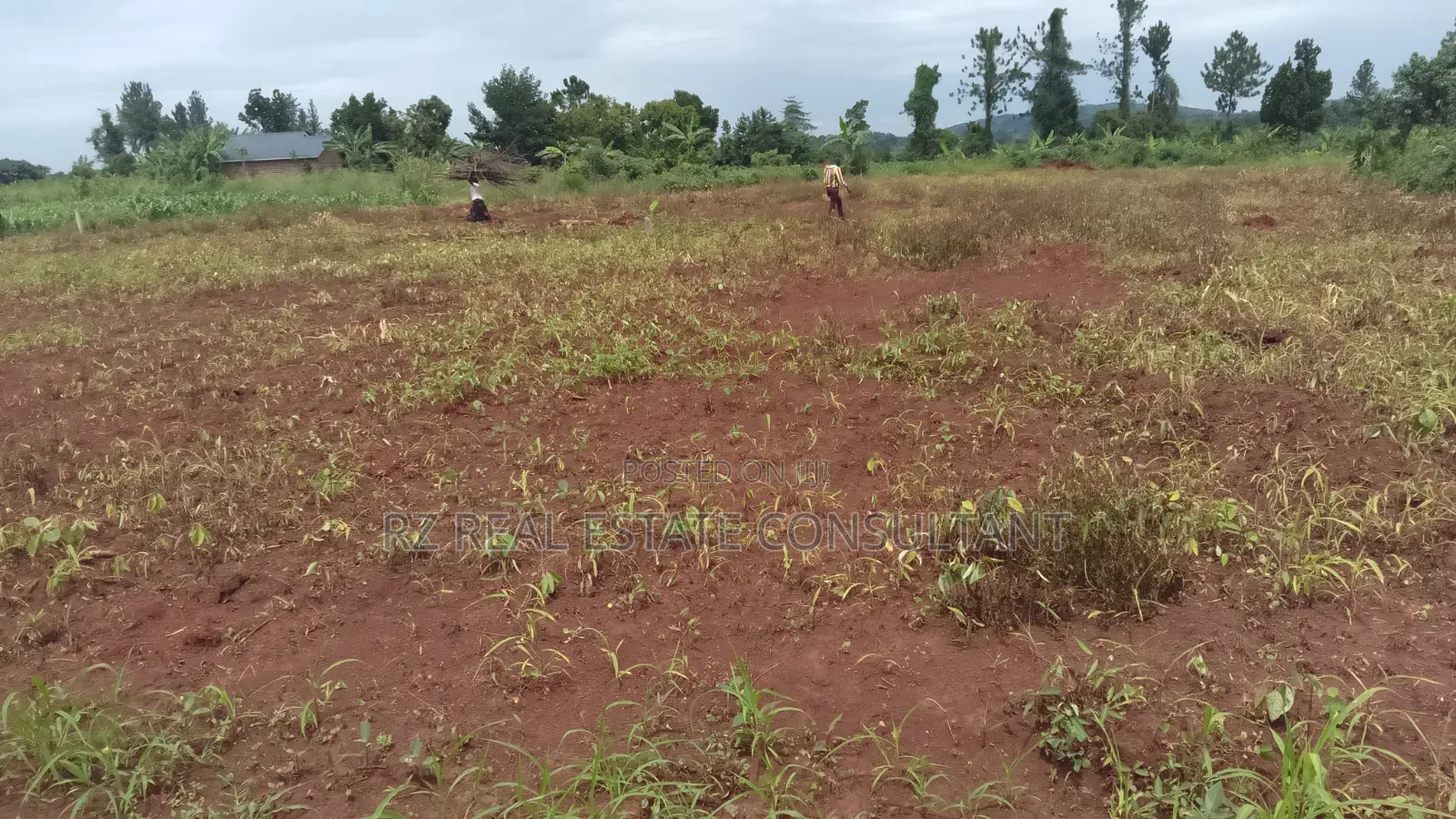 Plots for Sale. Located in Busiika-Namuganja