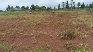 Plots for Sale. Located in Busiika-Namuganja