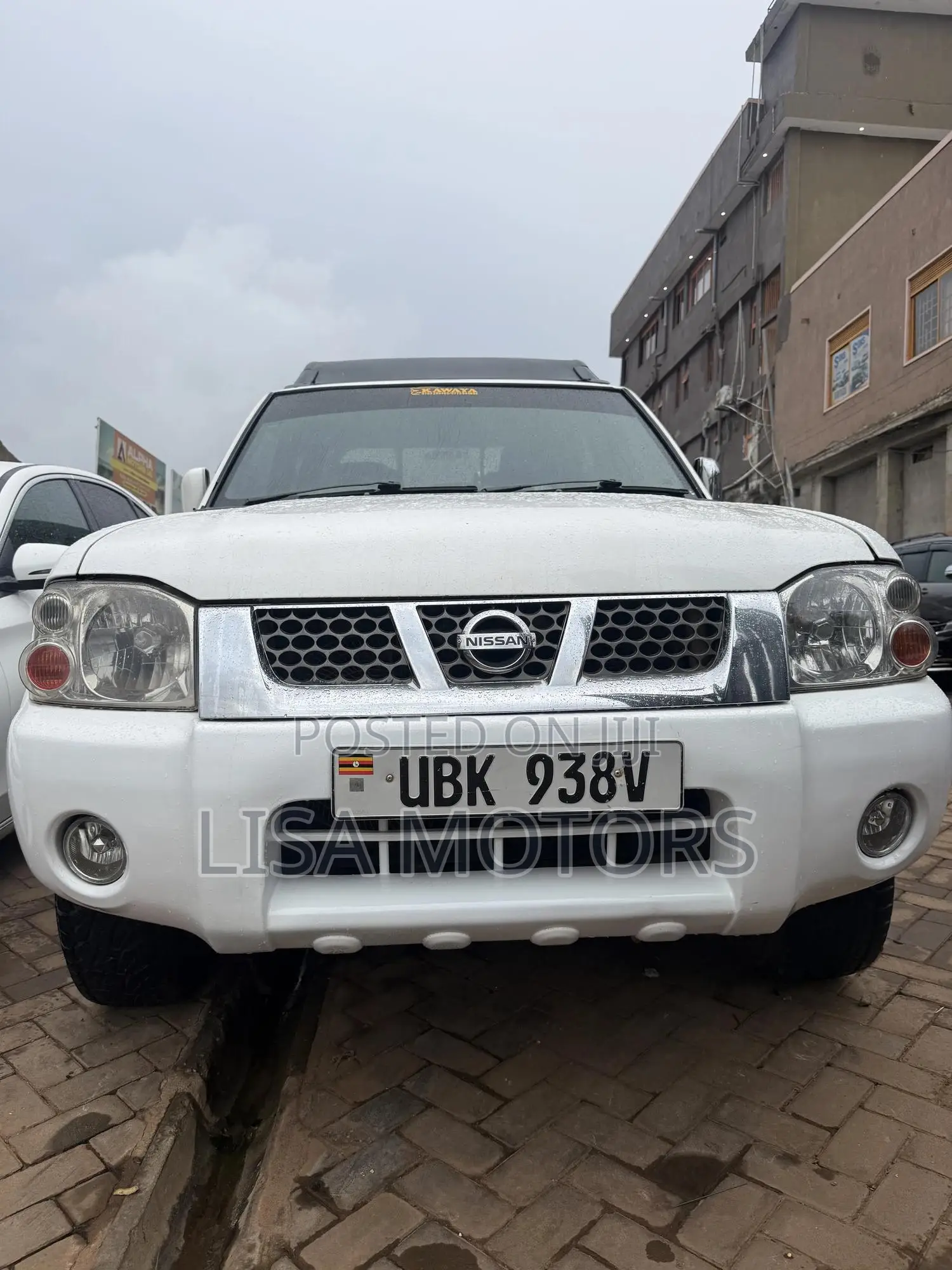 Nissan Hardbody 2008 White